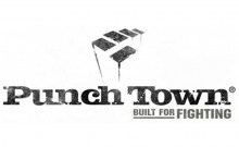 punchtown logo_220x220
